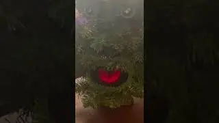Why does this exist?