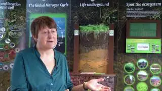 Journey to the Centre of the Earth