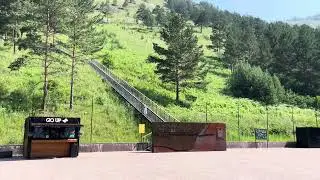Тайга под Красноярском