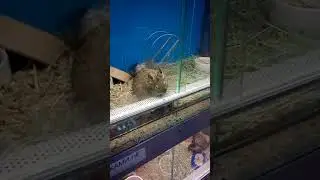 Когда с работы хочется домой))))