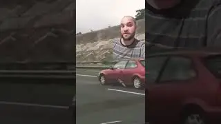 Pigeon on the Highway - Pigeon Memes Explained!