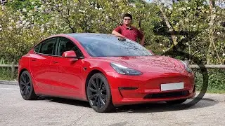 Living with a Model 3!