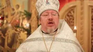 2016 01 07 Поздравление владыки Саввы
