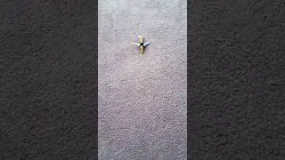 Dumb pilots crashing made by @squishysandwich #aviationlads #planecrash