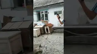 22 августа 2018 г.
