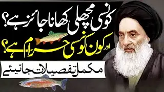 Islam Main Kaunsi Fish Khana Halal Hai Aur Kaunsi Haram | Ayatullah Sistan Fatwa | ⓒ