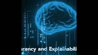 Transparency and Explainability in AI