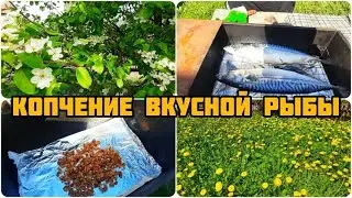 КАК КОПТИТЬ РЫБУ 🔥 КОПЧЕНИЕ ВКУСНОЙ РЫБЫ 🐟 В ДОМАШНИХ УСЛОВИЯХ ♨️