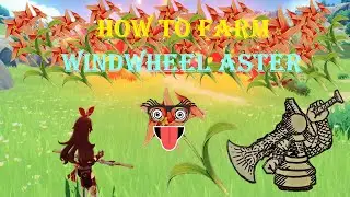 Genshin Impact How To Farm WindWheel Aster
