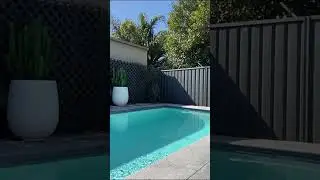 Sydney Home Tour [ Inner West Edition ] #shorts