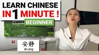 Learn Chinese IN 1 MINUTE with AOE ChinEase! Beginner Level!