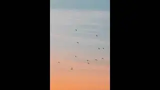 [FREE] nothing,nowhere, drippinsopretty emo type beat | glide