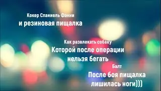 Фанни + пищалка. Батл, в котором пострадала игрушка.