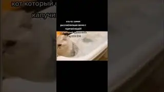 АХАХАХАХА😂😂 