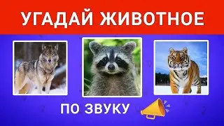 Интересный Тест. Сможете Угадать Животное по Звуку? Проверьте Себя.