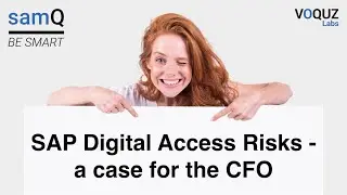 SAP Digital Access Risks – a case for the CFO (english)