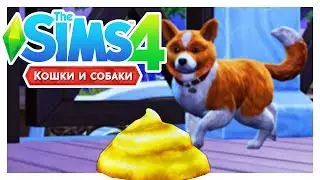 КАКАЕМ ЗОЛОТОМ! 💰\The Sims 4: Кошки и собаки #10