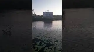 ЗАГС и имущество #подпишись #топ #лето #лето #мир