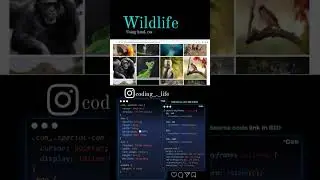 wildlife website using html css. #programming #coder #html #css #coding