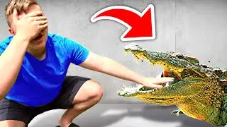 Can You Guess What's In The Box? || Head 2 Head