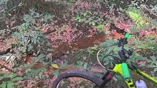 Cube Attention. XC Trail.