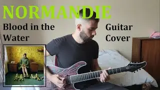 Normandie - Blood in the Water (Guitar Cover)
