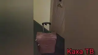 КАХА И ЧУНЯ ОЦЕНИВАЮТ ГОСТИНИЦУ / ПРИЕХАЛИ В СТАВРОПОЛЬ