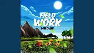 Field Work