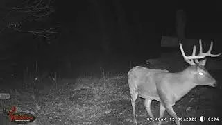 Late Season Buck We Found On Camera, Hopefully he's still around