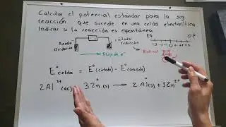 Potencial estandar de celda