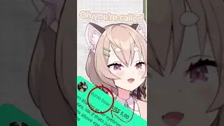 The Anatomy of a Panko #vtuber #phaseclips #phaseconnect #vtuberclips