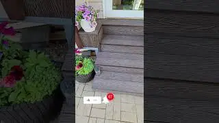 Лестница из террасной доски 
