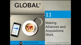 ch 11 Making Alliances and Acquisitions Work