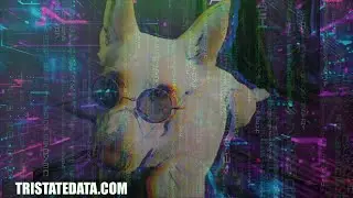 TRISTATEDATA.COM