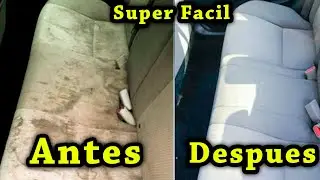 How to Clean Cloth Seats in Your Car Without Scraping and Without Machines