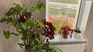 Вот и лето прошло🤗Ученик готов😉Готовлю👍
