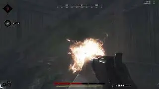 Quick Hunting 2/12/2024