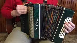 Гармонь Троянда Житомирская муз. ф-ка, 2 голоса, тон. Ля мажор