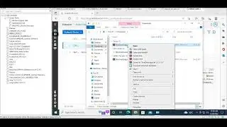 Infoblox - Installation DNS Protection Agent Based