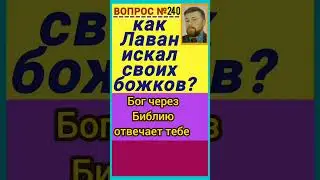 поиск (Быт.