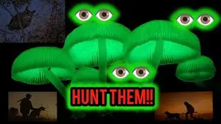 Hunting native mushroom at night 🍄‍🟫🍄‍🟫🍄‍🟫👁️👁️#new #hunting #mushroom #food
