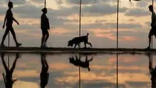 John Sokoloff - Loyola Sunset
