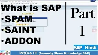 SAP S/4HANA - SAP spam, saint, support package update, Ad-don, Patch Upgrade, Ad-don Install