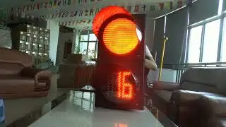 300mm Countdown Timer Synchronised with LED Traffic Signal