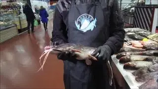 Проработка на кухне африканского клариевого сома