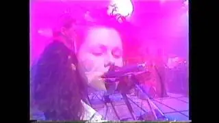 Shelleyann Orphan/ Anatomy Of Love