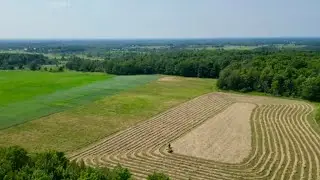 FARMING WITH DRAFT HORSES: Time to Make Some Hay!!! 