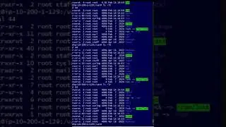 List the linux files 