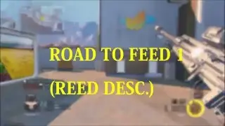 Road to feed #1 // SnooW