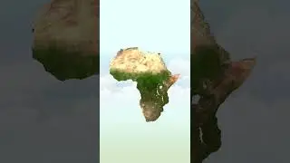 Bu zürafaların desenleri de pek bir farklı çeşitliymiş canım...
